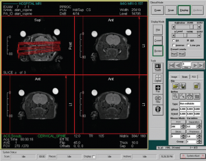 easyscan pic 2